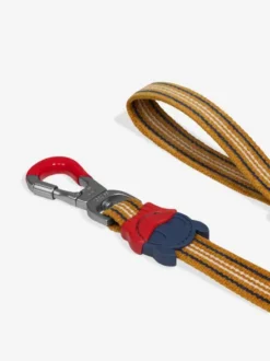Laisse pour chien - Velvet Vibes Misfit - Zee.Dog
