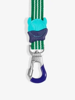 Laisse pour chien - Velvet Vibes Vert - Zee.Dog