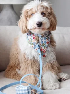 Laisse waterproof Cloud pour chien - Bleu pastel - Shop Sunny Tails