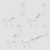Laisse waterproof MELLEM X pour chien - Dunes - Lambwolf Collective