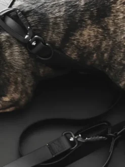 Laisse waterproof MELLEM X pour chien - Black - Lambwolf Collective