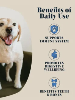 Lait de chèvre entier 🐐 pour chien - Hackney Dog House