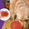 Lil Snoop - Jouet d'occupation pour chien - Rouge édition de Noël