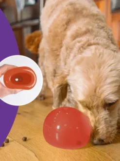Lil Snoop - Jouet d'occupation pour chien - Rouge édition de Noël