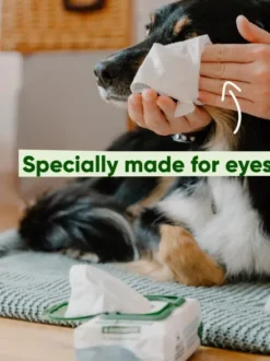Lingettes nettoyantes contour des yeux pour chien - Aloe Vera et Concombre