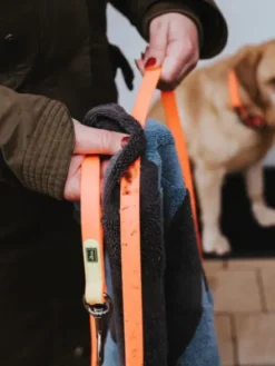 Longe convenience 5m ou 12m pour chien - Noire - Hunter