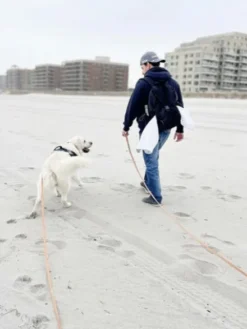 Longe waterproof d'éducation pour chien - Espresso - Shop Sunny Tails