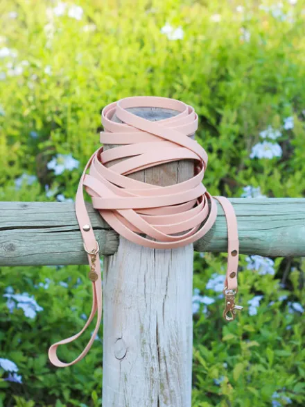 Longe waterproof d'éducation pour chien - Pêche - Shop Sunny Tails