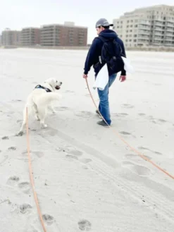 Longe waterproof d'éducation pour chien - Chaï - Shop Sunny Tails