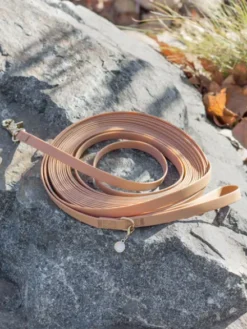 Longe waterproof d'éducation pour chien - Chaï - Shop Sunny Tails