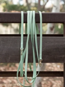 Longe waterproof d'éducation pour chien - Pistache - Shop Sunny Tails