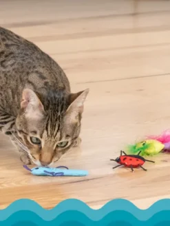 Lot de 6 jouets avec herbe à chat - Cute As A Bug