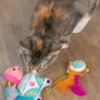 Lot de 3 jouets avec herbe à chat - Festival - Catstages
