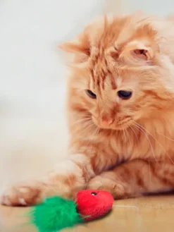 Lot de 3 jouets avec herbe à chat - Fraises - Petstages