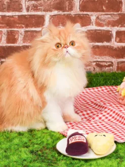 Lot de 2 jouets pour chat - Vin et Fromage 🍷🧀 - HugSmart