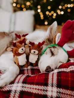Lot de 3 Mini Peluches de Noël pour chien - Rennes - Zippy Paws