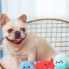 Lot de 3 peluches pour chien - Créatures marines 🐋🐙🐠 - HugSmart