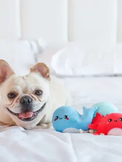 Lot de 3 peluches pour chien - Créatures marines 🐋🐙🐠 - HugSmart