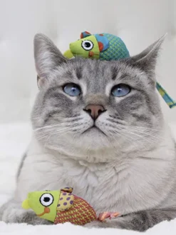 Lot de 2 souris pour chat rembourrées d'herbe à chat