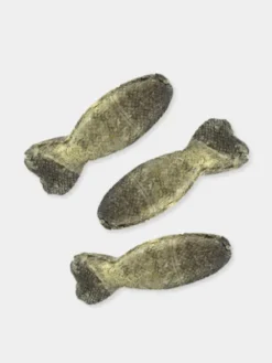 Lot de 3 sticks de Morue en forme de poisson - Icepaw