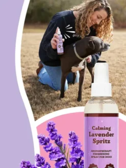 Lotion apaisante pour chien - Calming Lavender Spritz - Natural Dog Company