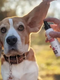 Lotion soin des oreilles pour chien - Clean Ear - Biogance