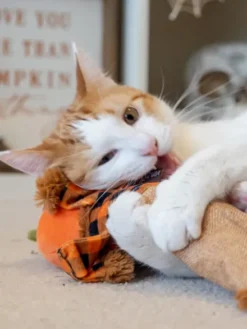 Maxi jouet pour chat - Cat Kicker - Epouvantail