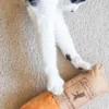 Maxi jouet pour chat - Cat Kicker - Sandwich au thon