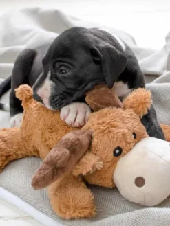 Maxi peluche Marvin l'élan pour chien - KONG Cozies