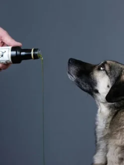 Mélange de 5 huiles pour chien