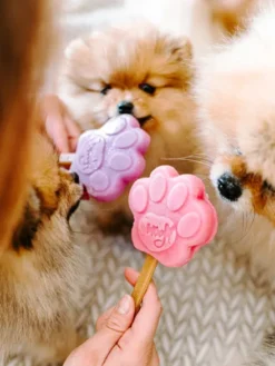 Mélange pour glaces pour chien - Fraise 🍦🍓 - Smoofl