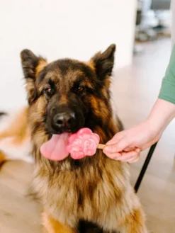 Mélange pour glaces pour chien - Fraise 🍦🍓 - Smoofl