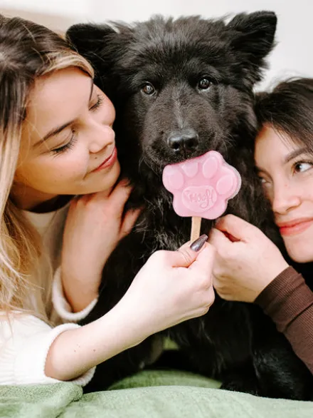 Mélange pour glaces pour chien - Fraise 🍦🍓 - Smoofl