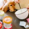 Mélange pour glaces pour chien - Beurre de Cacahuete 🍦🥜 - Smoofl