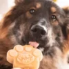 Mélange pour glaces pour chien - Caramel crémeux 🍮 - Smoofl