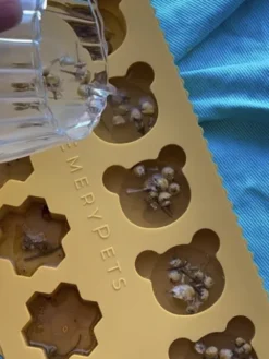 Moule en silicone pour friandises - Ours et Miel - EmeryPets