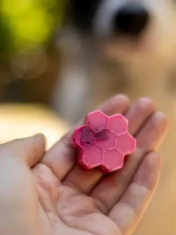 Moule en silicone pour friandises - Ours et Miel - EmeryPets