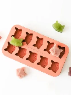 Moule en silicone pour friandises - Renard et Raton laveur - EmeryPets