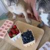 Moule en silicone pour friandises - Glace et Cupcake - EmeryPets