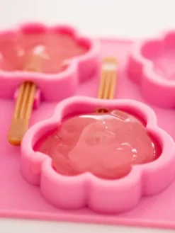 Moule à glaces pour chien - Taille M - Smoofl