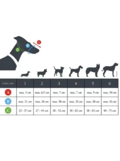 Muselière pour chien - Albury - Hunter