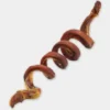 Nerf de boeuf - Bully Stick en spiral à mâcher pour chien
