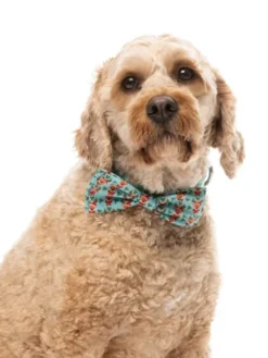 Nœud papillon pour chien - Blitzen Blizzard - FuzzYard