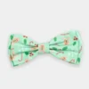 Nœud papillon pour chien - Pain épices vert - The Worthy Dog