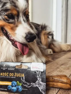 Os à mâcher hypoallergénique pour chien - Cerf 🦌 (2 tailles disponibles) - Syta Micha