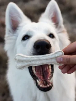 Os à mâcher Vegan pour chien - Coco et Patate douce - Syta Micha