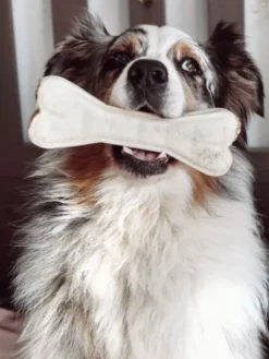 Os à mâcher XL pour chien - Boeuf 🐂 - Syta Micha