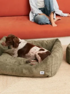 Panier pour chien Snozy - Velours côtelé vert - Cafide