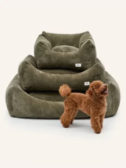 Panier pour chien Snozy - Velours côtelé vert - Cafide