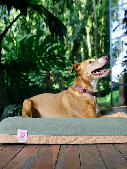 Panier pour chien - Zee.Bed Naturals - Zee.Dog